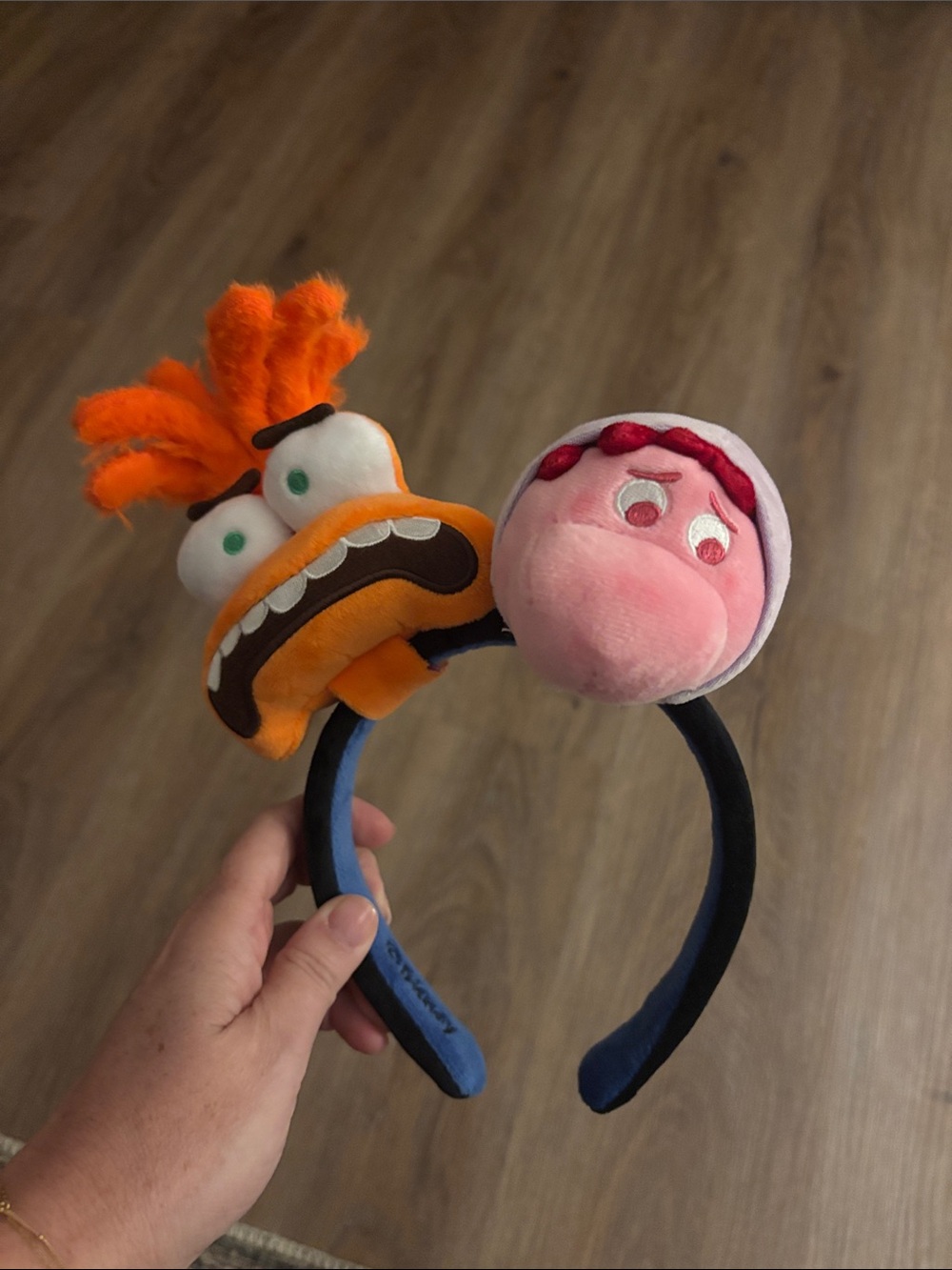 Disney Mickey Ears - anxiety and embarrassment. Interchangeable characters